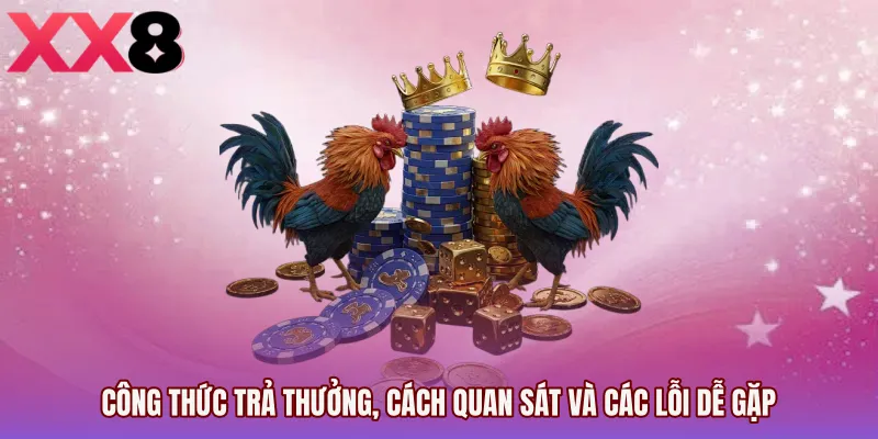 Công thức trả thưởng, cách quan sát và các lỗi dễ gặp