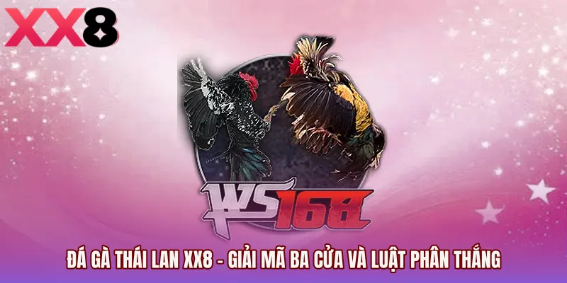 Đá Gà Thái Lan XX8 - Giải Mã Ba Cửa Và Luật Phân Thắng