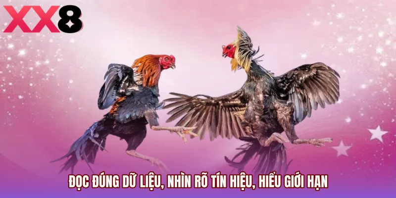 Đọc đúng dữ liệu, nhìn rõ tín hiệu, hiểu giới hạn