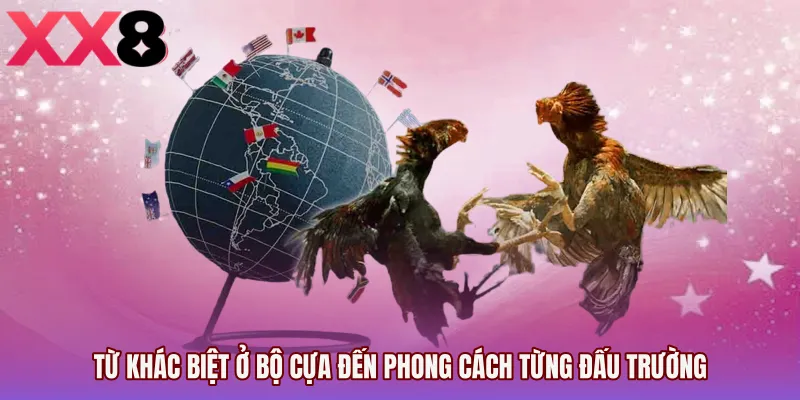 Từ khác biệt ở bộ cựa đến phong cách từng đấu trường